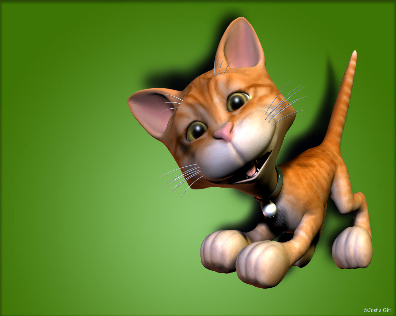 Picture Cats 3D Graphics Colored background