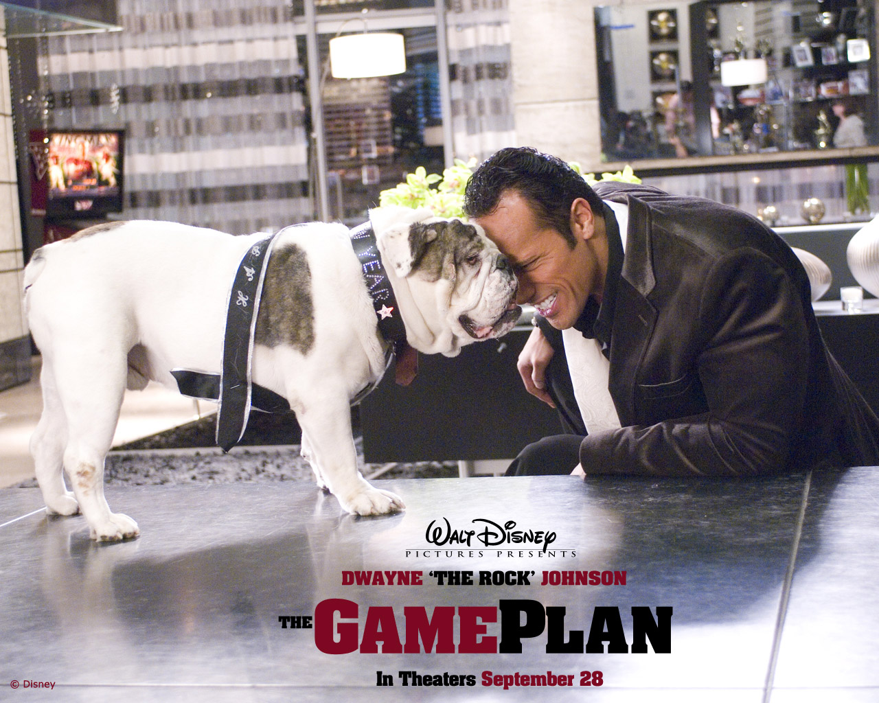 The Game Plan Movie