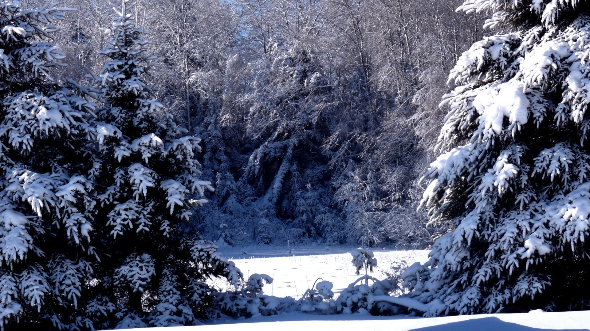 壁紙 19x1080 季節 冬 雪 自然 ダウンロード 写真