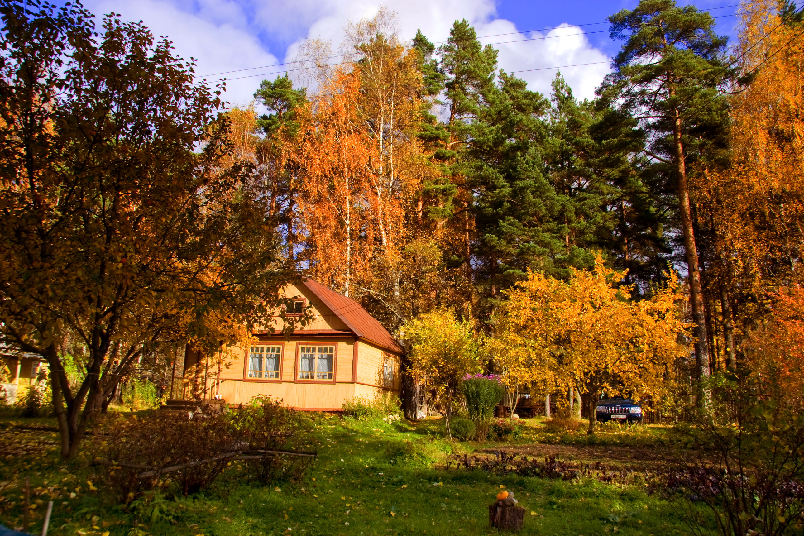 Загородная природа. Поселок художников Переделкино. Осень в деревне. Деревня осенью. Осенний домик.