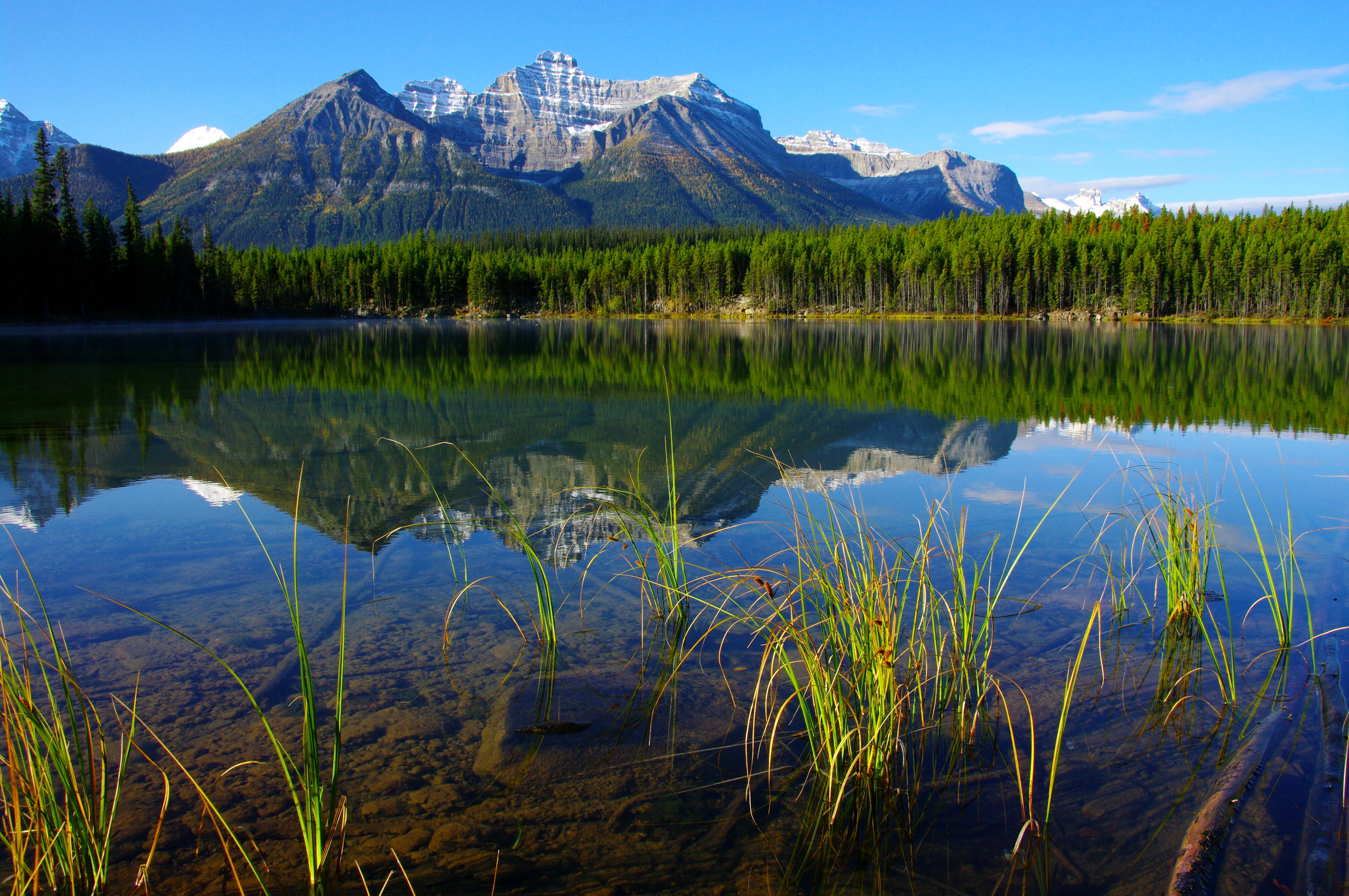 Тема реки и озера. Природа река озеро лес горы. Канада горы реки озера. Штат Юкон Канада. Куокансуо озеро.