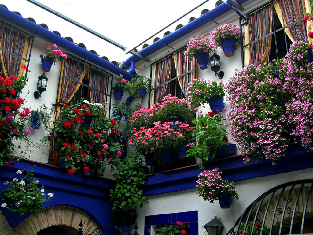 цветы для украшения фасада