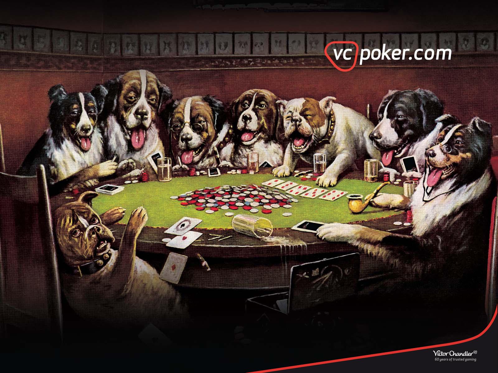 Обои собаки играют в карты на казино вулкан как убрать google