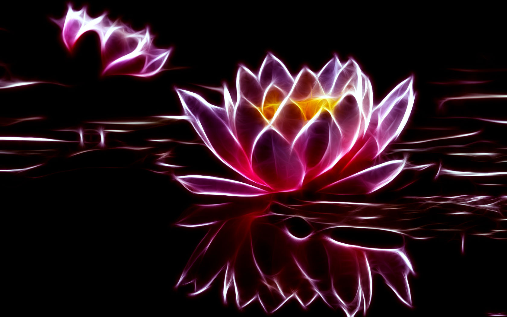 Water Lily Wallpaper  iPhone Android  Desktop Backgrounds