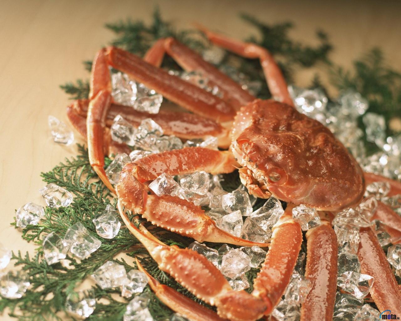 Картинки Крабы Пища Морепродукты Еда Продукты питания