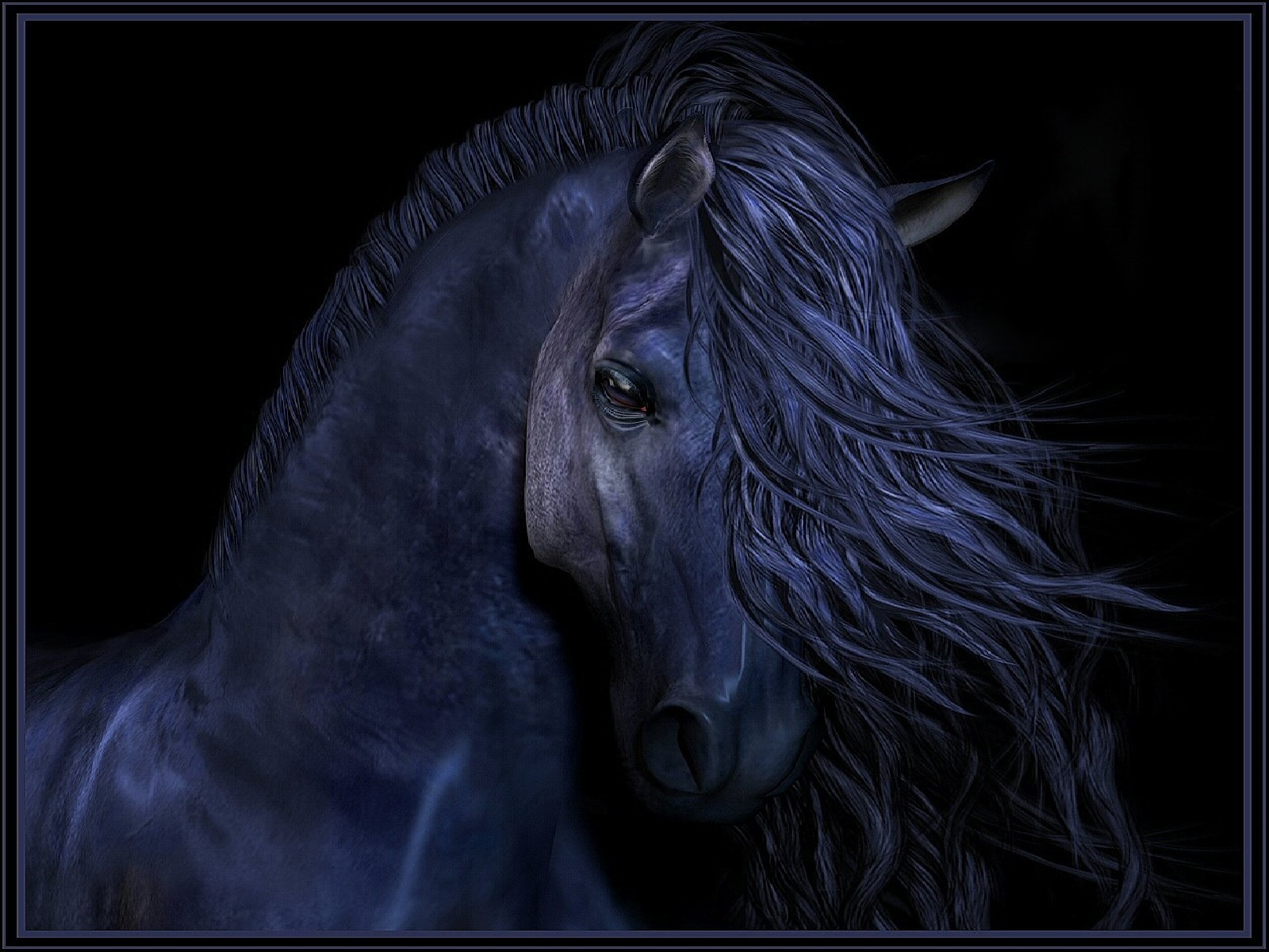 Pferde desktop-hintergrundbilder kostenlos Hobby Reiten