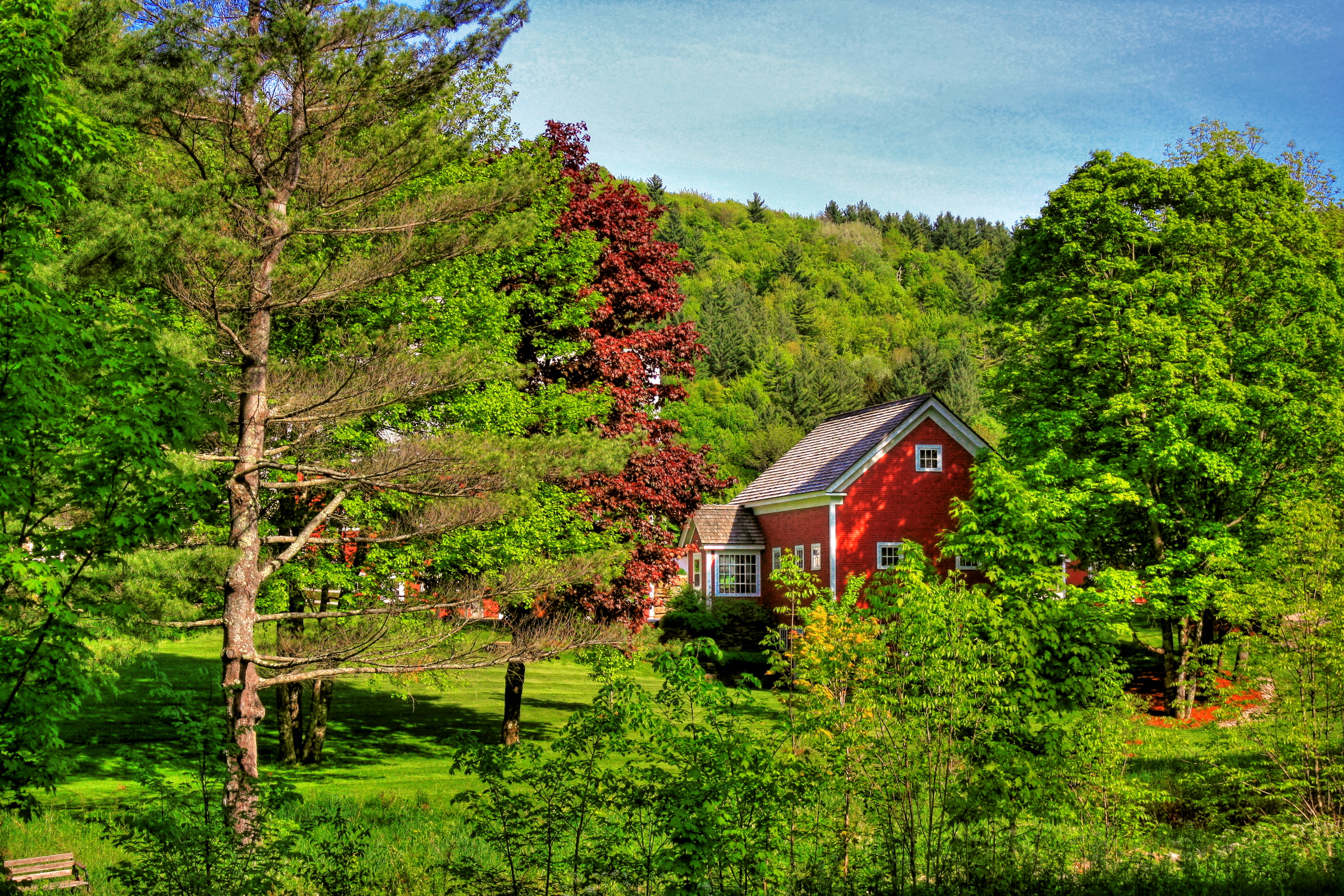 Лесной рабочий поселок. Шварцвальд дом в лесу. Домик на природе. Красивый домик в лесу. Красивые домики на природе.
