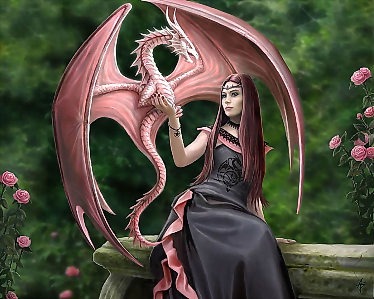 Foto Drachen Fantasy