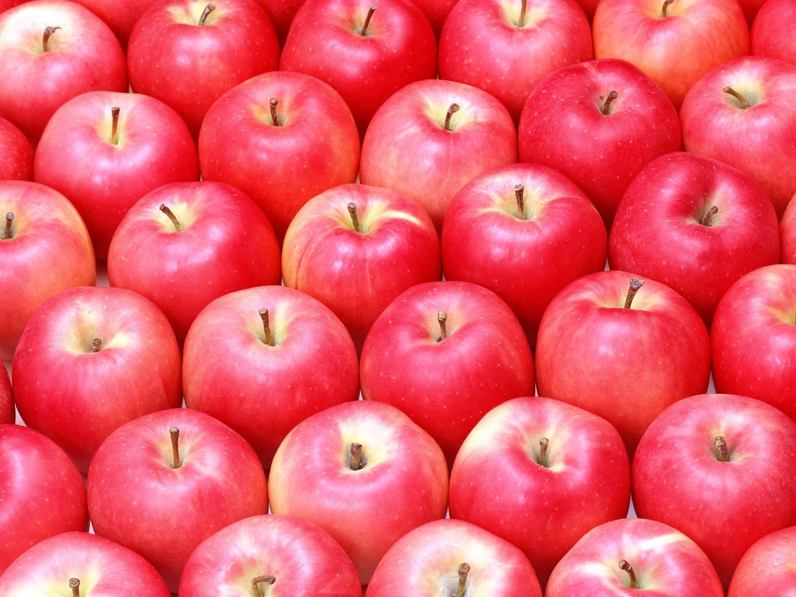 壁紙 果物 りんご 食品 ダウンロード 写真
