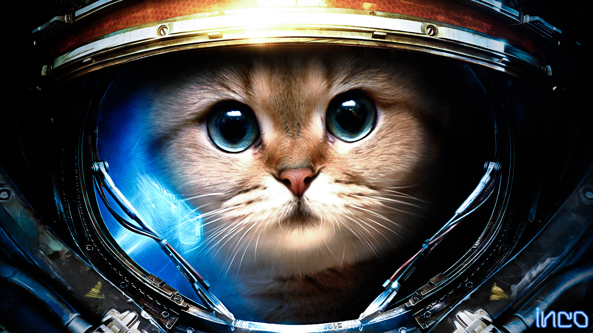 壁紙 19x1080 飼い猫 宇宙飛行士 ユーモア ダウンロード 写真