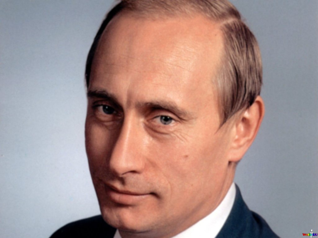 Wallpaper Vladimir Putin President Celebrities