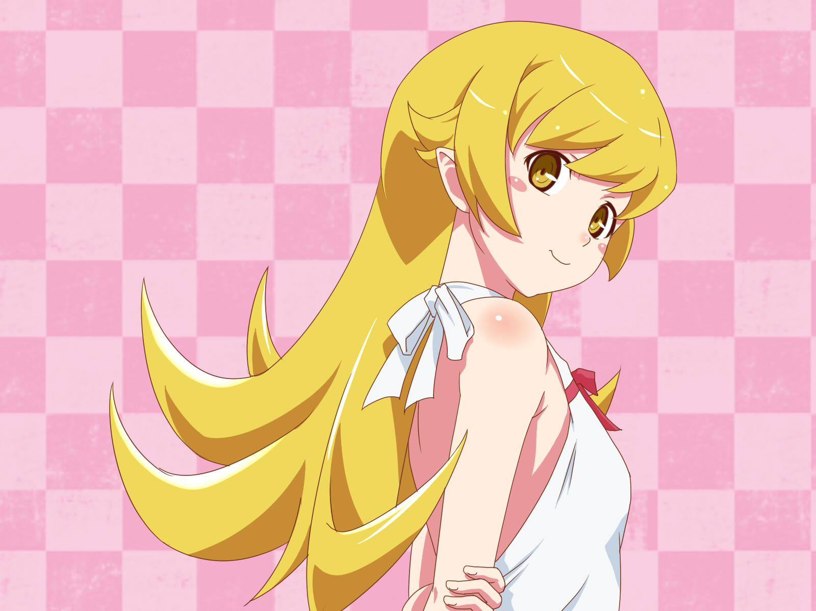 Amazon.com: Anime Monogatari Series Heroine Book #3 Shinobu Oshino:  9784062187640: Books