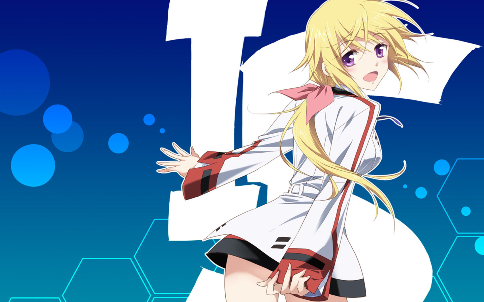 壁紙 Is Infinite Stratos 日本动画 下载 照片