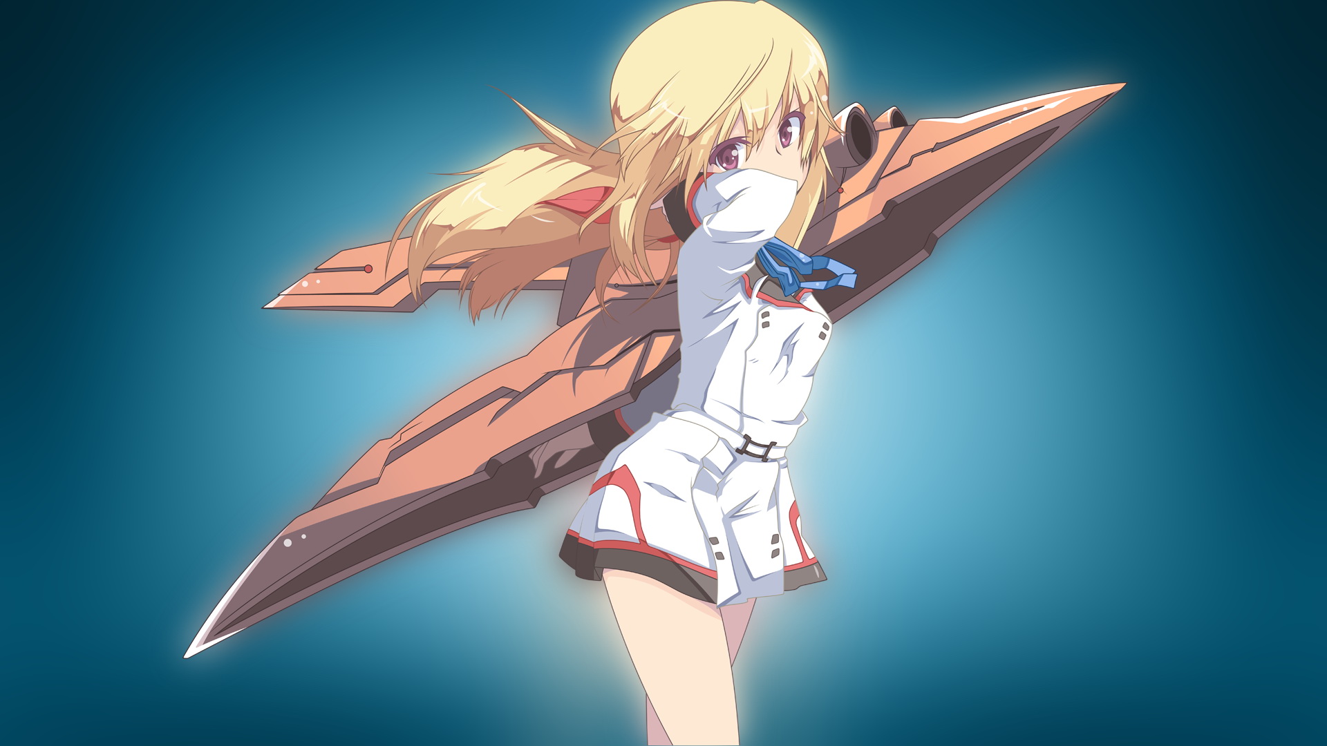 Anime Infinite Stratos HD Wallpaper