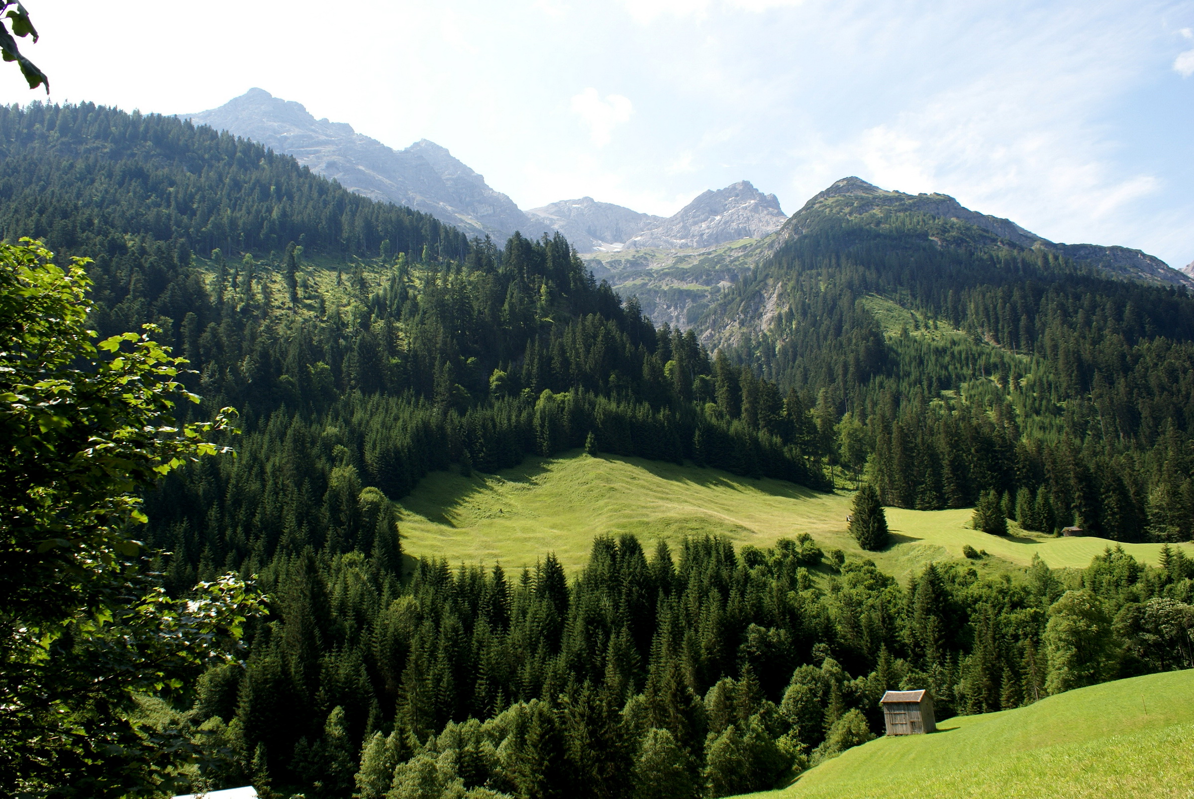 Фото лес и горы. Тироль Австрия природа. Венский лес горные хребты Австрии. Тироль Австрия горы. Альпы Тирольские горы Австрия.
