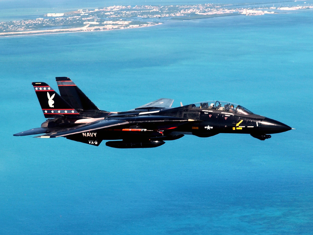 壁紙 飛行機 戦闘機 F 14 Tomcat 航空 ダウンロード 写真