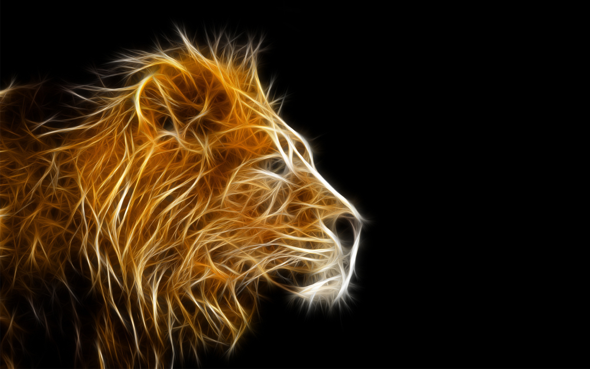 lion wallpaper 3d