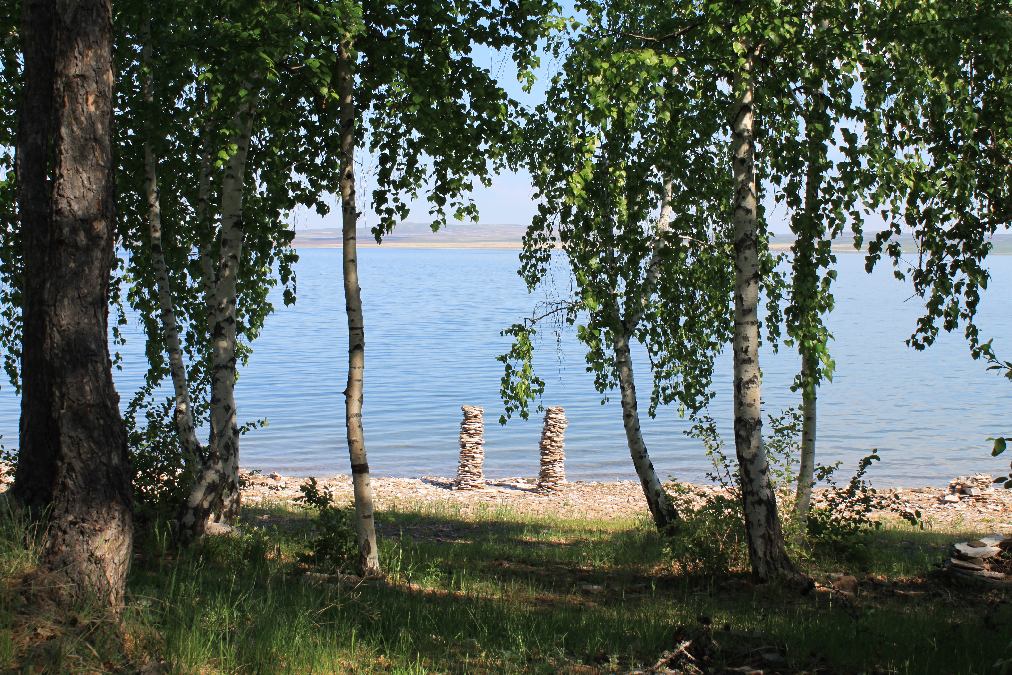 Березка шумиха. Озеро беле Березки. Березовая роща озеро Ивановская область. Хакасия озеро белё Березки. Белё Хакасия Березовая роща.