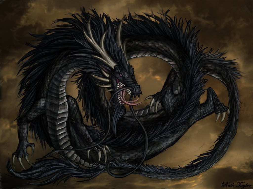 Images dragon Fantasy