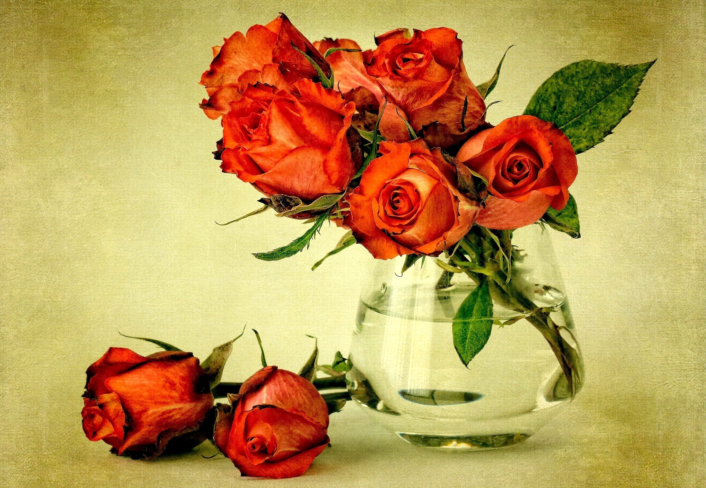 Почему вянут розы в вазе. Красивые цветы. Букет цветов в вазе. Розы в вазе. Открытки с розами.