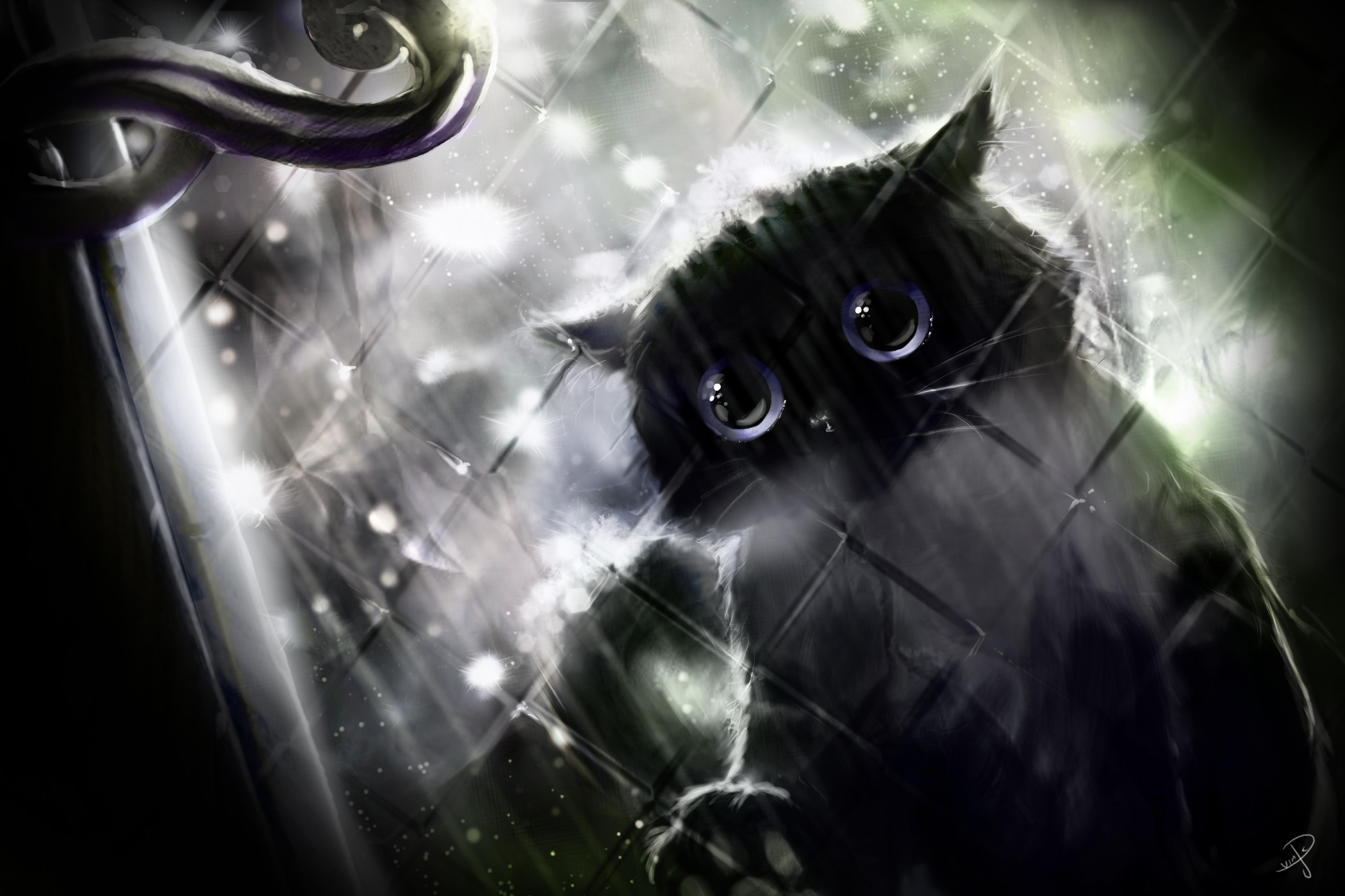 Аватарка кошечка. Чёрный кот. Кот арт. Фэнтези кошки. Мистические кошки.