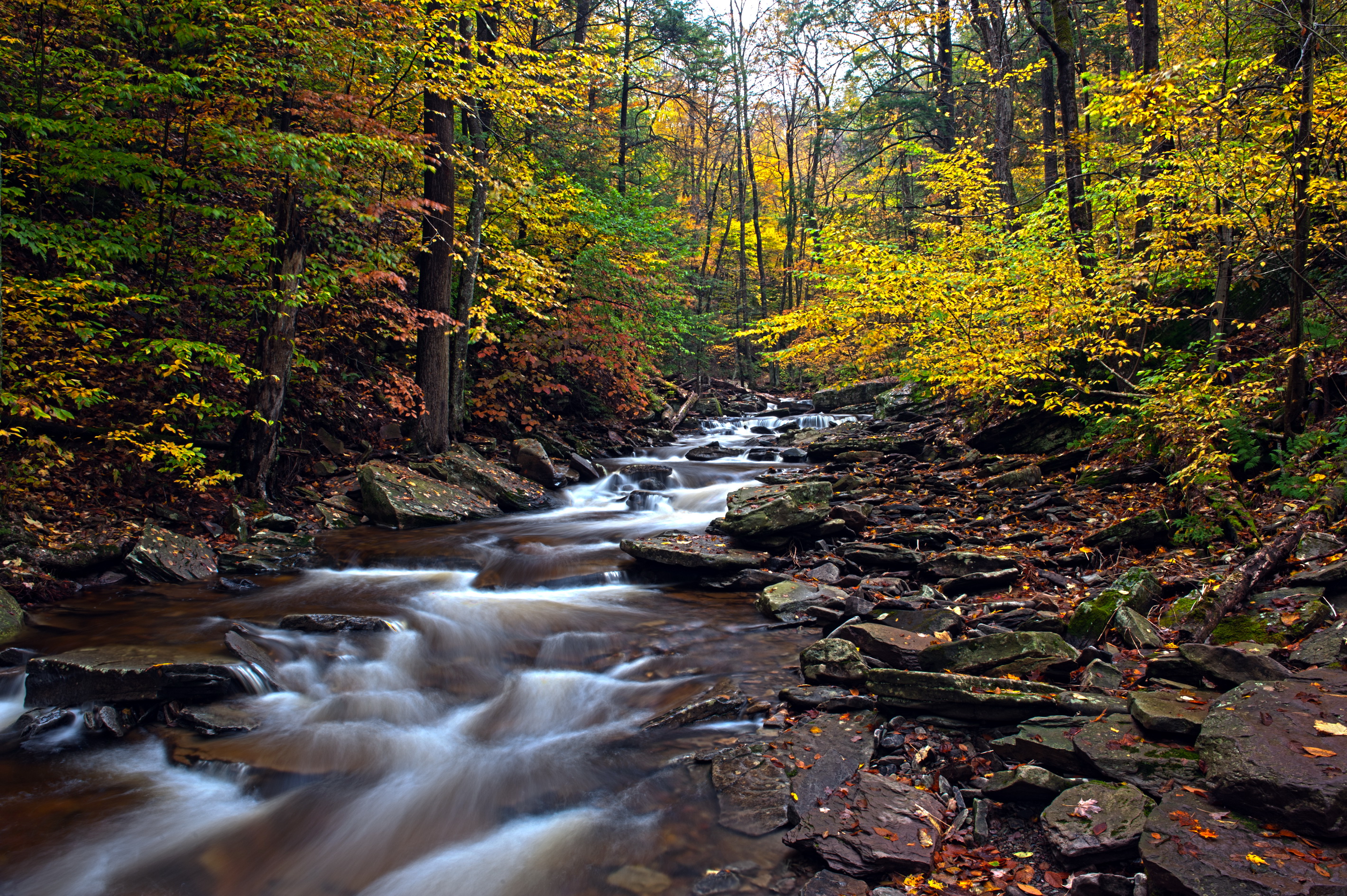 Picture Ricketts Glen State Park, Nature park