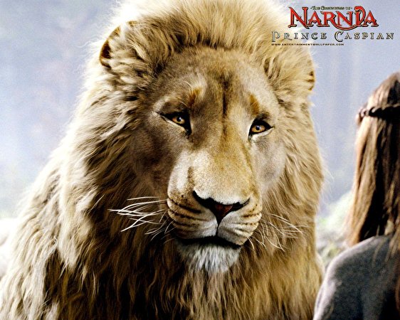 Sfondi desktop Le cronache di Narnia Le cronache di Narnia - Il principe Caspian