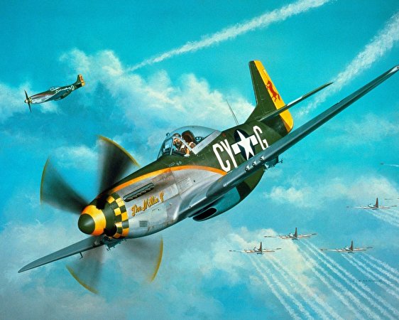 Image Airplane P-51 Mustang Painting Art Aviation