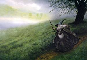 Pictures John Howe Mage wizard Hat Mage Staff Fantasy
