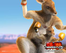 Fonds d'écran Tekken Kangourou jeu vidéo