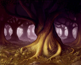 Bakgrundsbilder på skrivbordet Träd Trädstam Fantasy