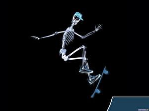 Fonds d'écran Skateboard Squelette Humour