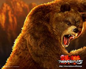 Hintergrundbilder Tekken Ein Bär computerspiel