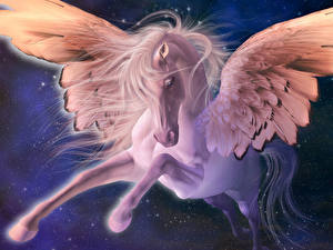 Fotos Magische Tiere Pegasos Fantasy