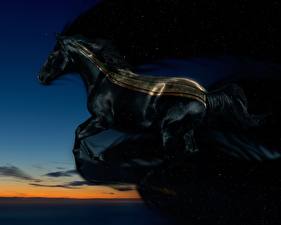 Fotos Pferd Fantasy