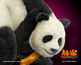 Tapety na pulpit Tekken Panda wielka gra wideo komputerowa