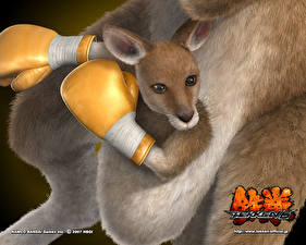 Pictures Tekken Kangaroo Games