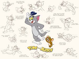 Pictures Tom and Jerry