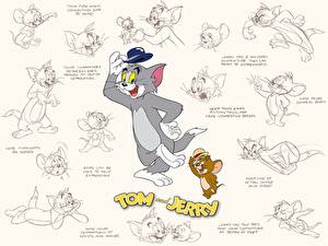 Fonds d'écran Tom and Jerry Dessins_animés