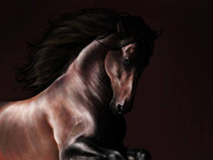 Picture Horses Colored background animal