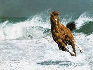 Фотографии Лошади Волны Животные