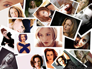 Tapety na pulpit Gillian Anderson