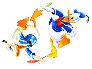 Hintergrundbilder Donald Duck Animationsfilm