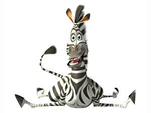 Bakgrundsbilder på skrivbordet Madagaskar Zebra Vit bakgrund Tecknat