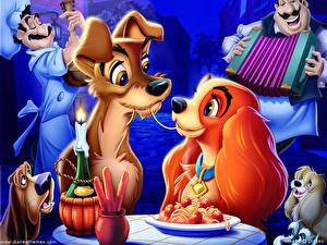 Hintergrundbilder Disney Susi und Strolch
