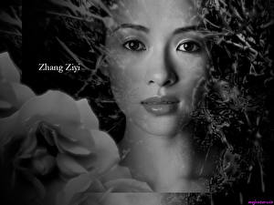 Hintergrundbilder Ziyi Zhang