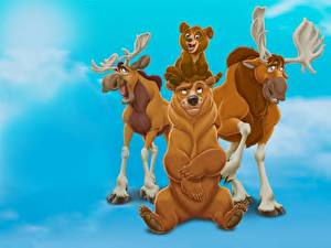 Desktop hintergrundbilder Disney Bärenbrüder Zeichentrickfilm
