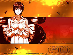 Wallpaper Great Teacher Onizuka - GTO
