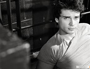 Picture Tom Welling