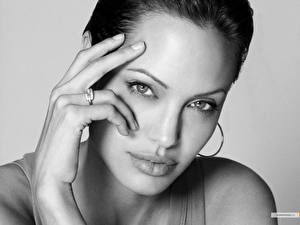 Bakgrundsbilder på skrivbordet Angelina Jolie Kändisar